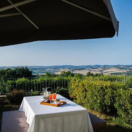 Salomone * Cartoceto